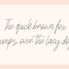 Welcome Script Font - Image 3
